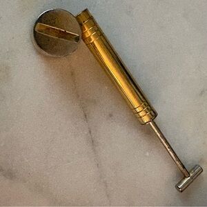 Vintage Gold and Silver Perfume Atomizer in Bug Sprayer Shape